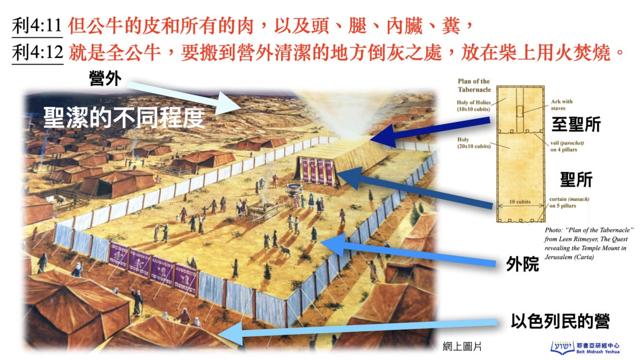 贖罪祭和贖愆祭的分別 | 耶書亞研經中心